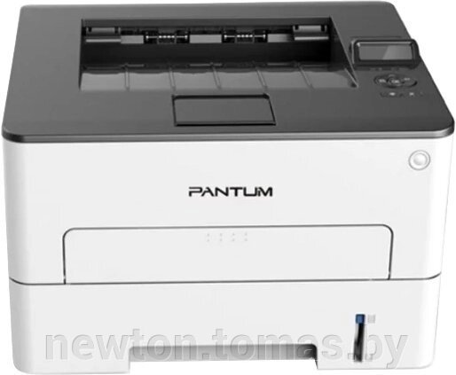 Принтер Pantum P3300DN от компании Интернет-магазин Newton - фото 1
