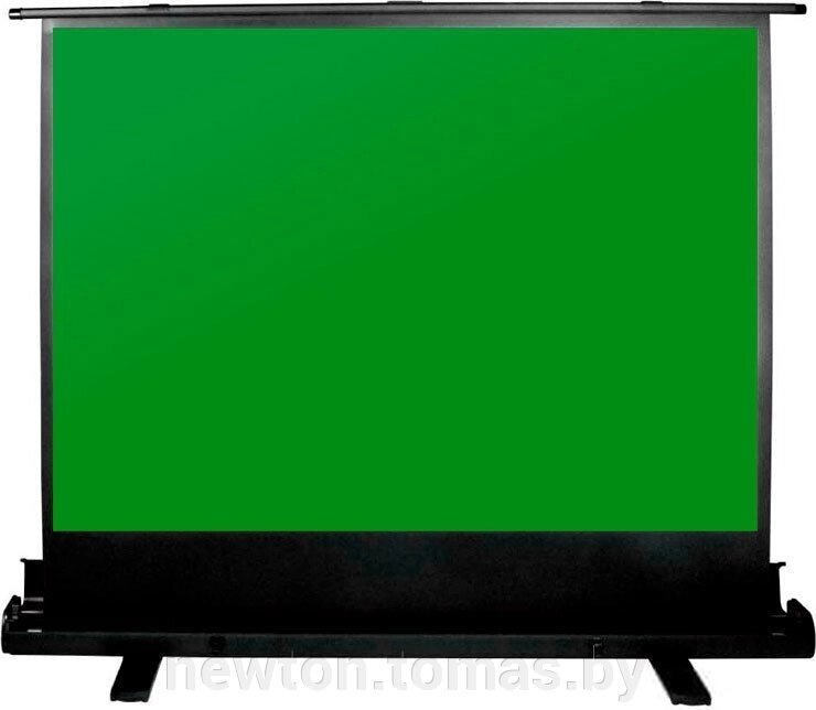 Проекционный экран CACTUS GreenFloorExpert 150х200 CS-PSGFE-200X150 от компании Интернет-магазин Newton - фото 1