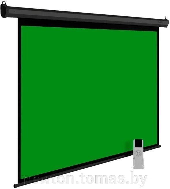 Проекционный экран CACTUS GreenMotoExpert 200x200 CS-PSGME-200X200 от компании Интернет-магазин Newton - фото 1