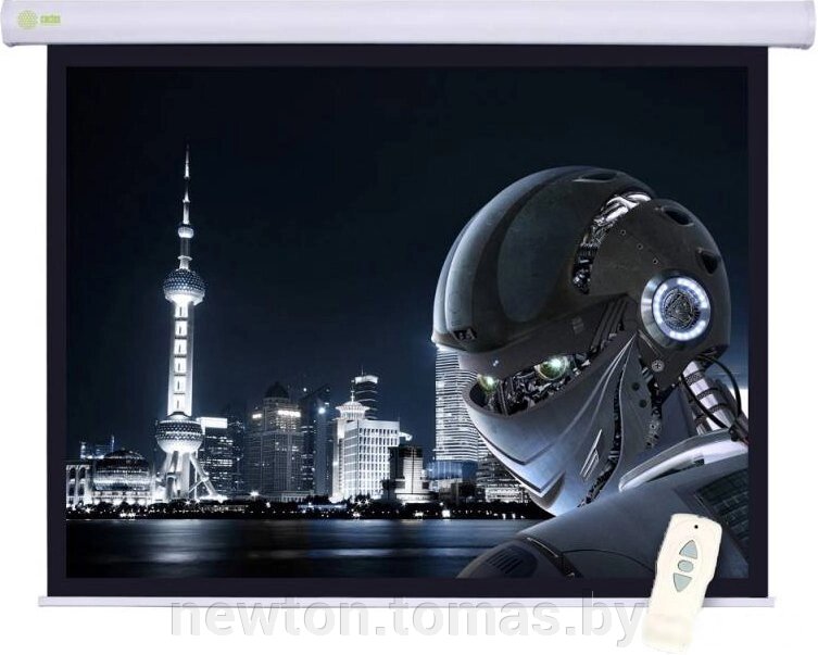 Проекционный экран CACTUS Motoscreen CS-PSM-124x221 от компании Интернет-магазин Newton - фото 1
