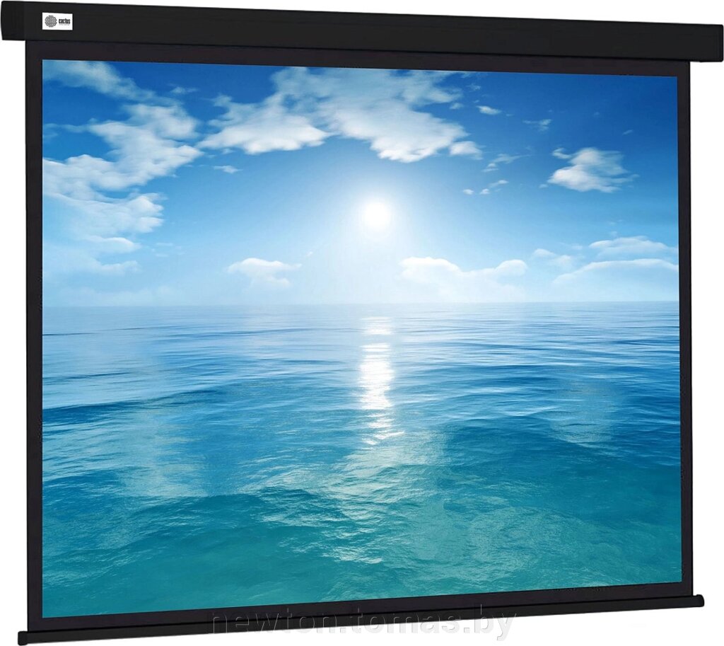 Проекционный экран CACTUS Wallscreen 104x186 CS-PSW-104X186-BK от компании Интернет-магазин Newton - фото 1