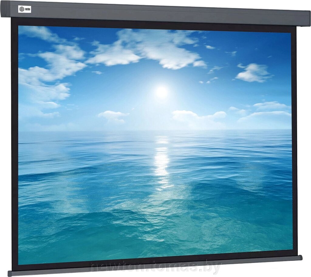 Проекционный экран CACTUS Wallscreen 104x186 CS-PSW-104X186-SG от компании Интернет-магазин Newton - фото 1