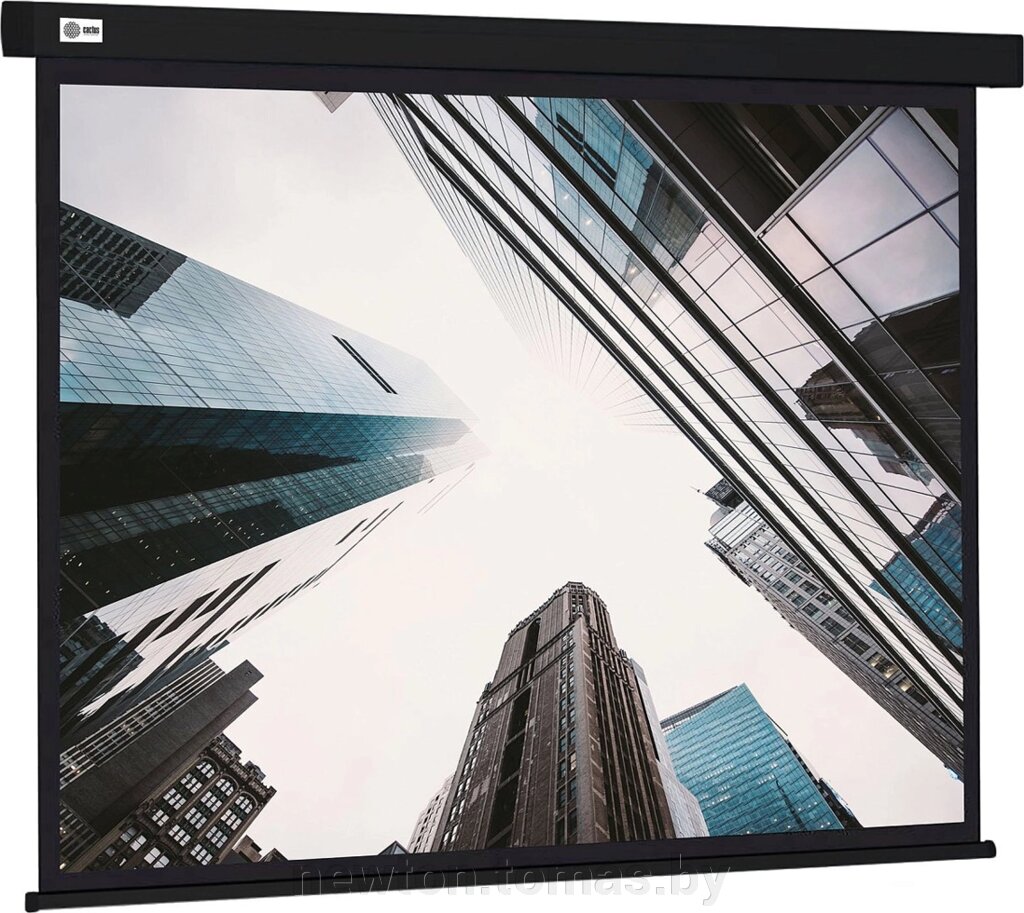 Проекционный экран CACTUS Wallscreen 124x221 CS-PSW-124X221-BK от компании Интернет-магазин Newton - фото 1
