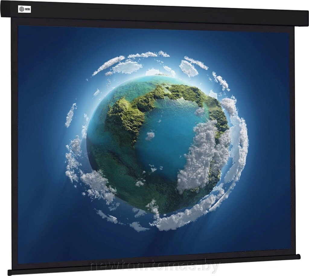 Проекционный экран CACTUS Wallscreen 127x127 CS-PSW-127X127-BK от компании Интернет-магазин Newton - фото 1