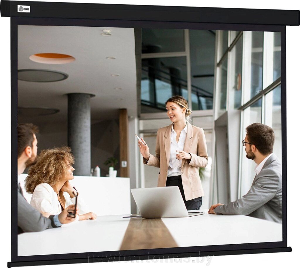 Проекционный экран CACTUS Wallscreen 168x299 CS-PSW-168X299-BK от компании Интернет-магазин Newton - фото 1