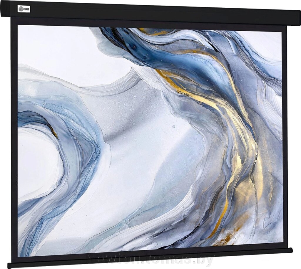 Проекционный экран CACTUS Wallscreen 180x180 CS-PSW-180X180-BK от компании Интернет-магазин Newton - фото 1