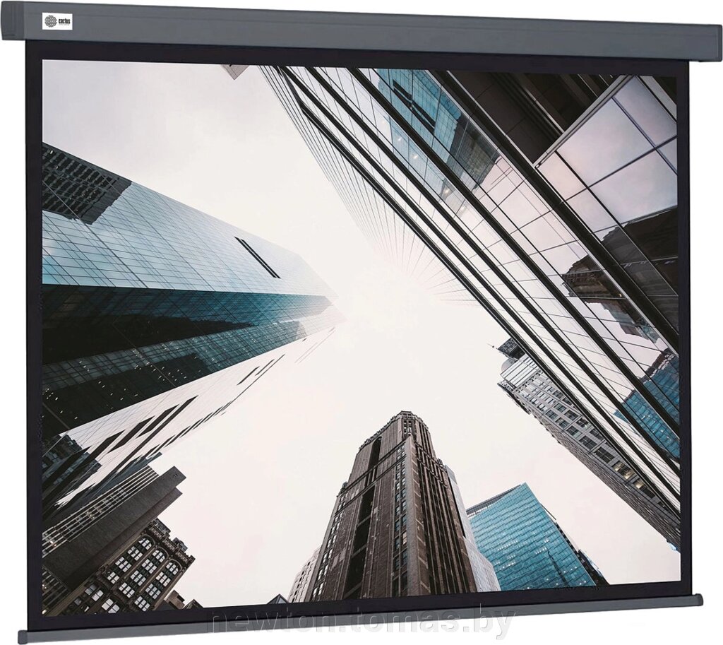 Проекционный экран CACTUS Wallscreen 183x244 CS-PSW-183X244-SG от компании Интернет-магазин Newton - фото 1