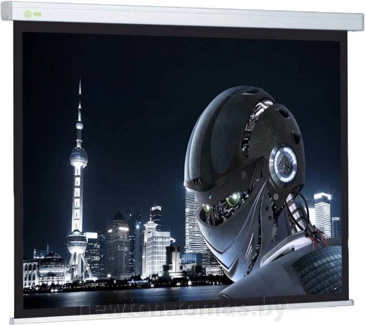 Проекционный экран CACTUS Wallscreen CS-PSW-128x170 от компании Интернет-магазин Newton - фото 1