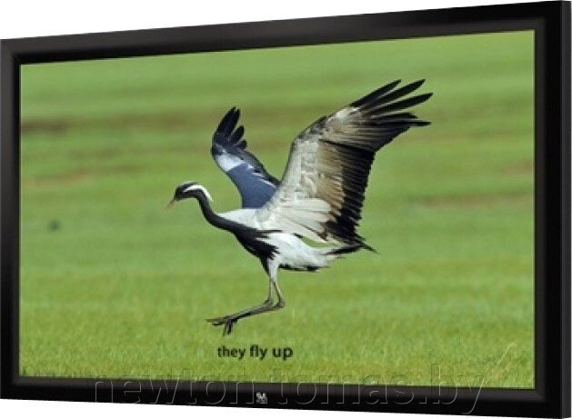 Проекционный экран Seemax Highland 16:9 305x229 от компании Интернет-магазин Newton - фото 1