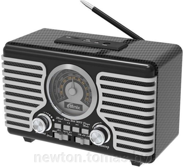 Радиоприемник Ritmix RPR-095 серебристый от компании Интернет-магазин Newton - фото 1