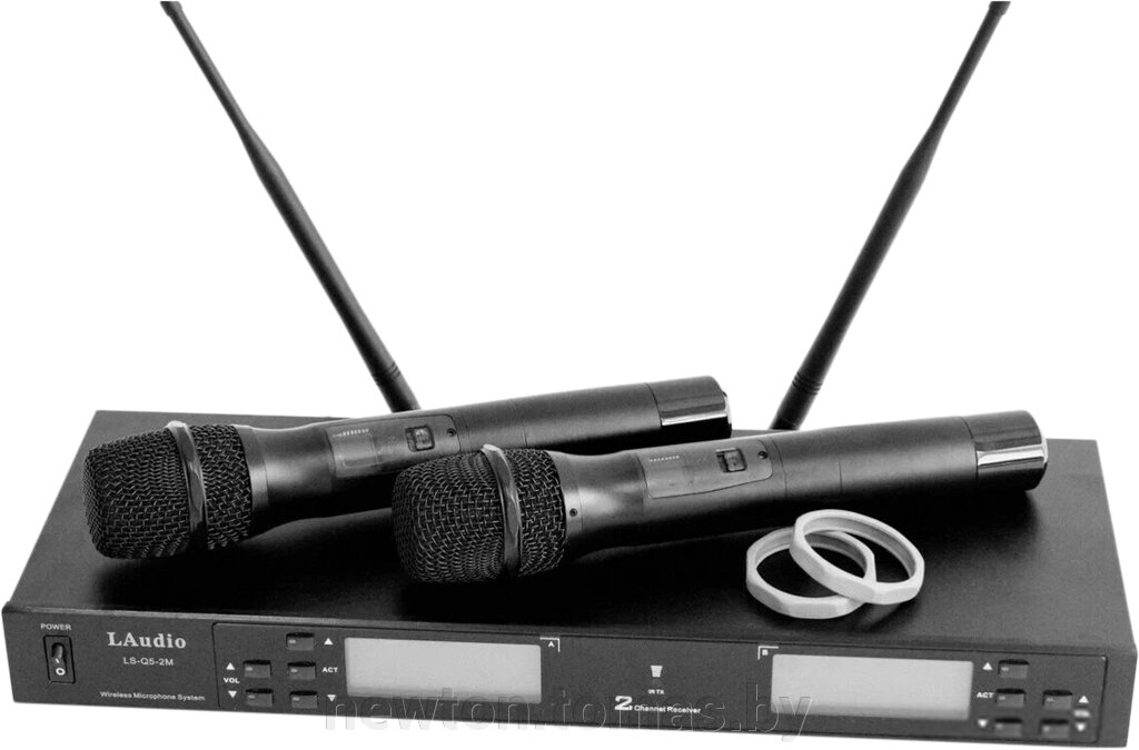 Радиосистема LAudio LS-Q5-2M от компании Интернет-магазин Newton - фото 1