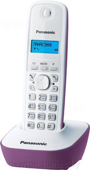 Радиотелефон Panasonic KX-TG1611RUF от компании Интернет-магазин Newton - фото 1