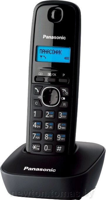 Радиотелефон  Panasonic KX-TG1611RUH от компании Интернет-магазин Newton - фото 1