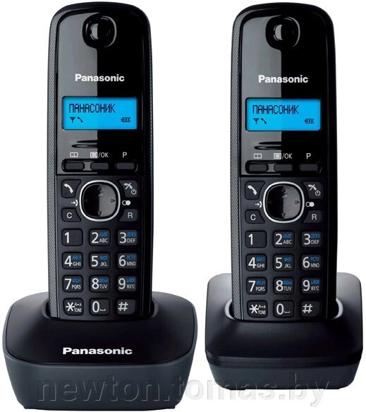 Радиотелефон  Panasonic KX-TG1612RUH от компании Интернет-магазин Newton - фото 1