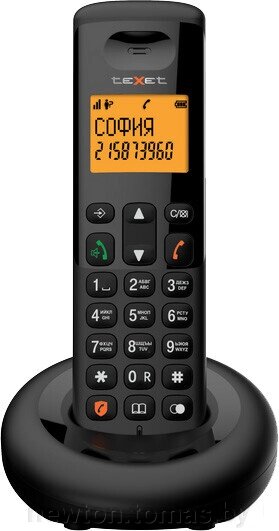 Радиотелефон TeXet TX-D4905A черный от компании Интернет-магазин Newton - фото 1