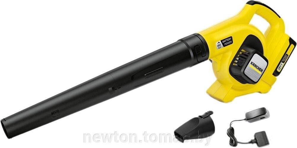 Ручная воздуходувка Karcher LBL 2 Battery Set 1.445-110.0 с АКБ от компании Интернет-магазин Newton - фото 1