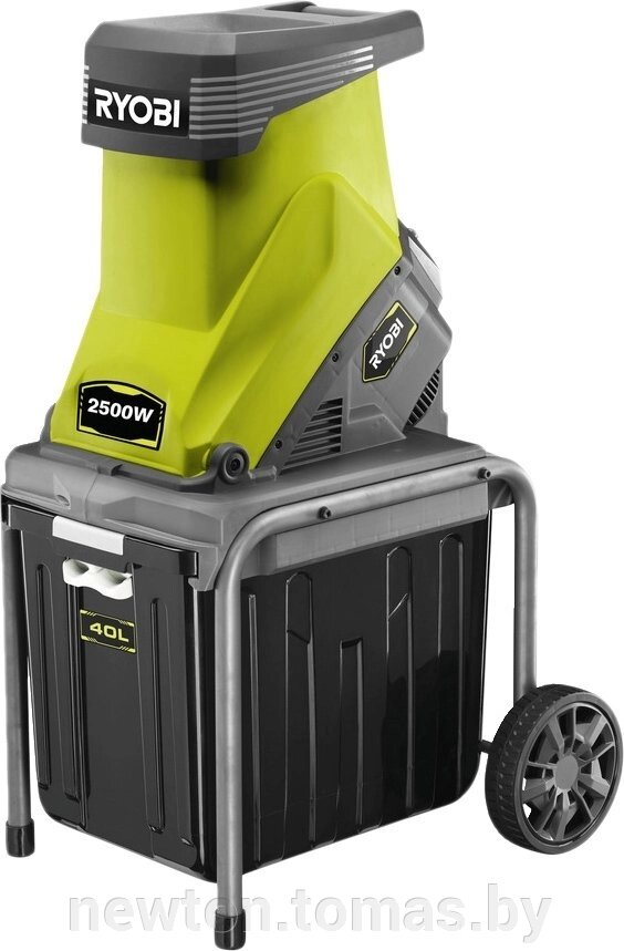 Садовый измельчитель Ryobi RSH2545B от компании Интернет-магазин Newton - фото 1