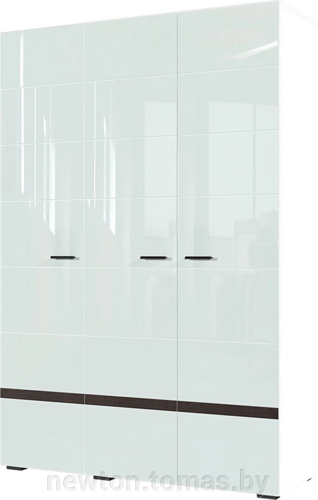 Шкаф распашной SV-Мебель Соло трехстворчатый белый/белый глянец/венге от компании Интернет-магазин Newton - фото 1