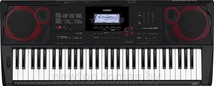 Синтезатор Casio CT-X3000 от компании Интернет-магазин Newton - фото 1