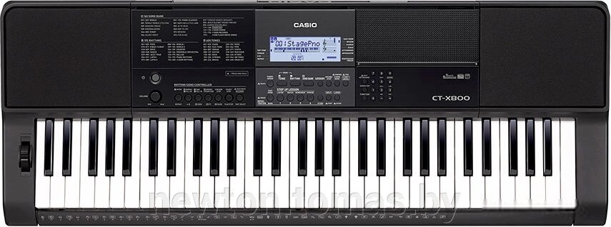 Синтезатор Casio CT-X800 от компании Интернет-магазин Newton - фото 1