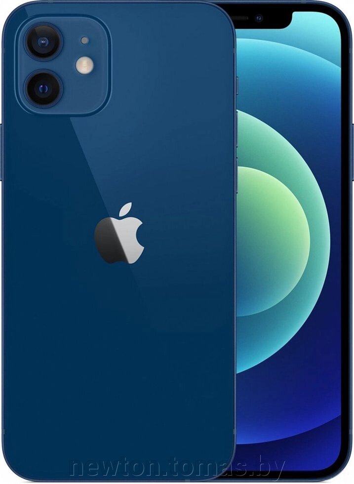 Смартфон Apple iPhone 12 64GB синий от компании Интернет-магазин Newton - фото 1