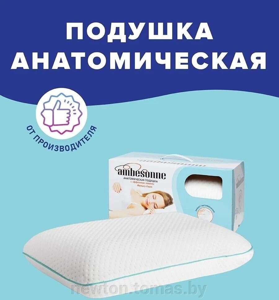Спальная подушка Ambesonne Овальная 60x40 plortoo-18 от компании Интернет-магазин Newton - фото 1