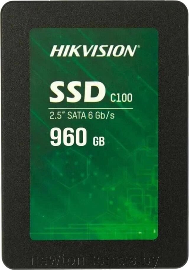SSD Hikvision C100 960GB HS-SSD-C100/960G от компании Интернет-магазин Newton - фото 1