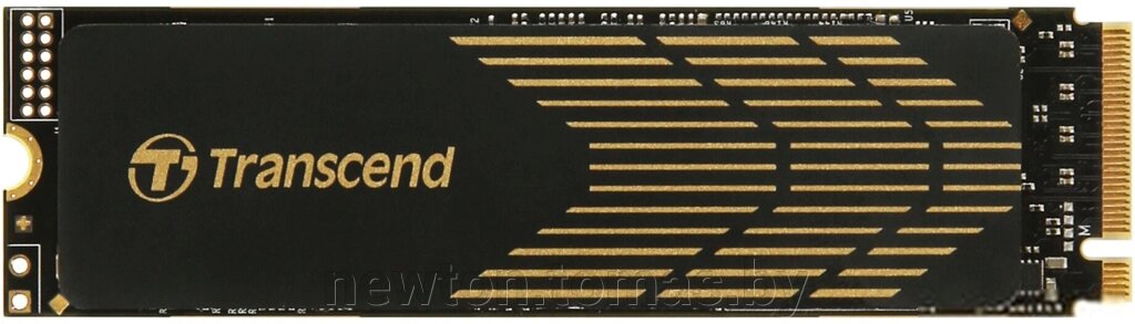 SSD Transcend 240S 500GB TS500GMTE240S от компании Интернет-магазин Newton - фото 1
