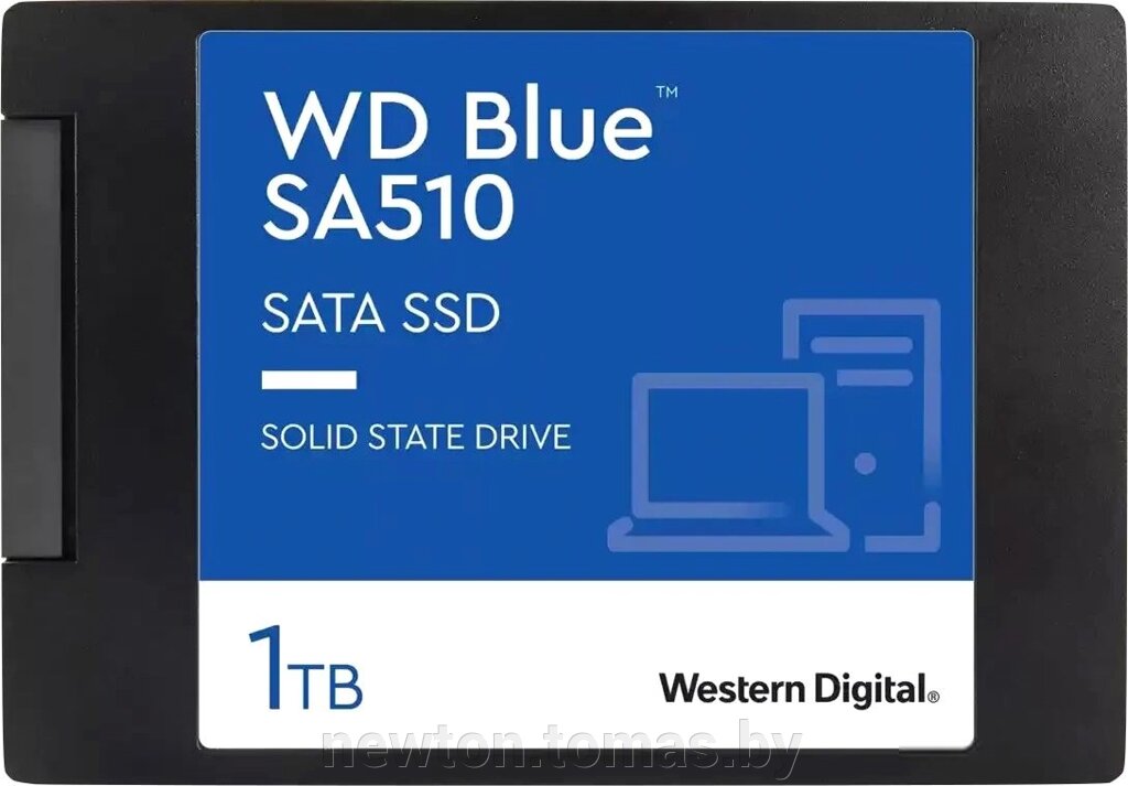 SSD WD Blue SA510 1TB WDS100T3B0A от компании Интернет-магазин Newton - фото 1