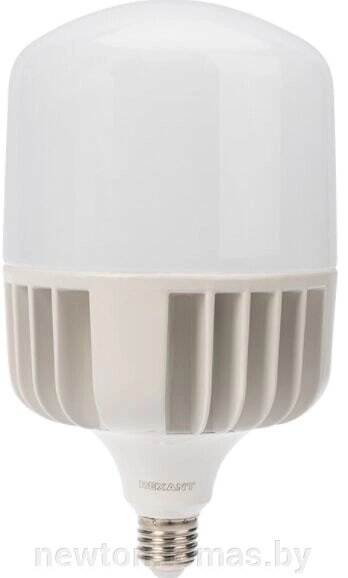 Светодиодная лампочка Rexant E27 100 Вт 6500К 604-072 от компании Интернет-магазин Newton - фото 1