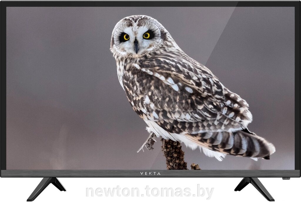 Телевизор Vekta LD-32SR5115BT от компании Интернет-магазин Newton - фото 1