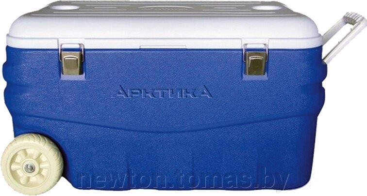 Термобокс Арктика 2000-100 синий от компании Интернет-магазин Newton - фото 1