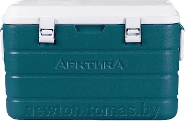 Термоэлектрический автохолодильник Арктика 2000-60 бирюзовый от компании Интернет-магазин Newton - фото 1