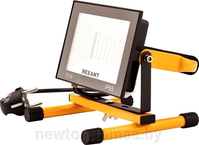 Уличный прожектор Rexant 605-022 от компании Интернет-магазин Newton - фото 1