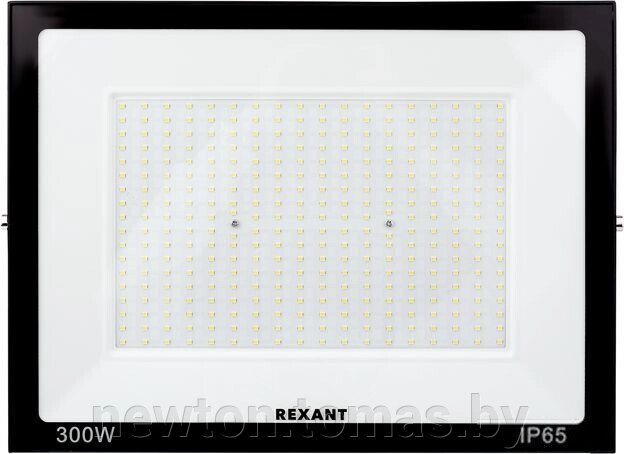 Уличный прожектор Rexant 605-030 от компании Интернет-магазин Newton - фото 1