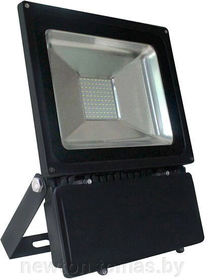 Уличный прожектор SmartBuy SBL-FLSMD-150-65K от компании Интернет-магазин Newton - фото 1
