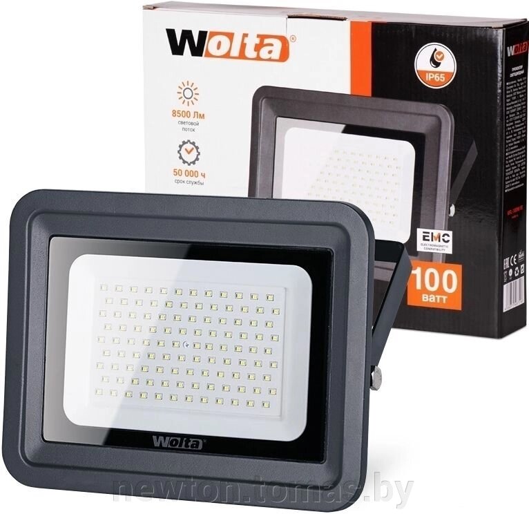 Уличный прожектор Wolta WFL-100W/06 от компании Интернет-магазин Newton - фото 1