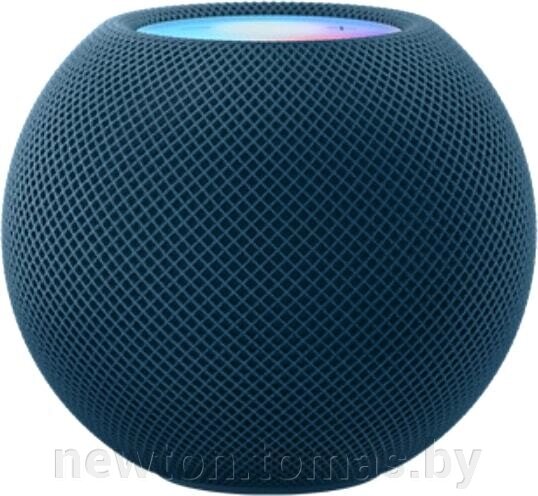 Умная колонка Apple HomePod Mini синий от компании Интернет-магазин Newton - фото 1