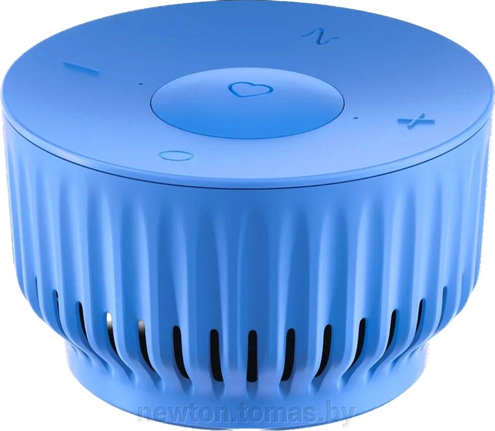Умная колонка SberDevices SberBoom Mini безоблачный голубой от компании Интернет-магазин Newton - фото 1