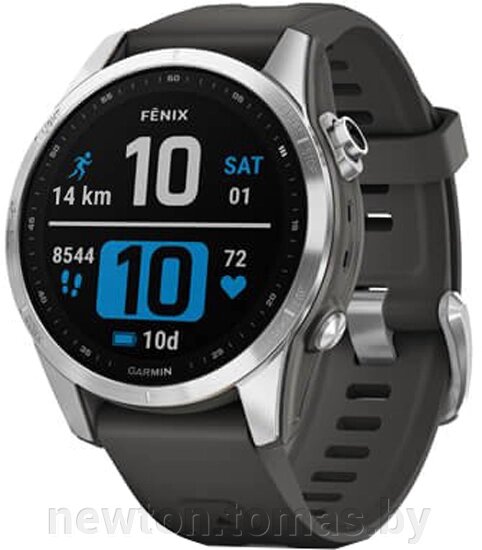 Умные часы Garmin Fenix 7S 42 мм серебристый/графитовый от компании Интернет-магазин Newton - фото 1