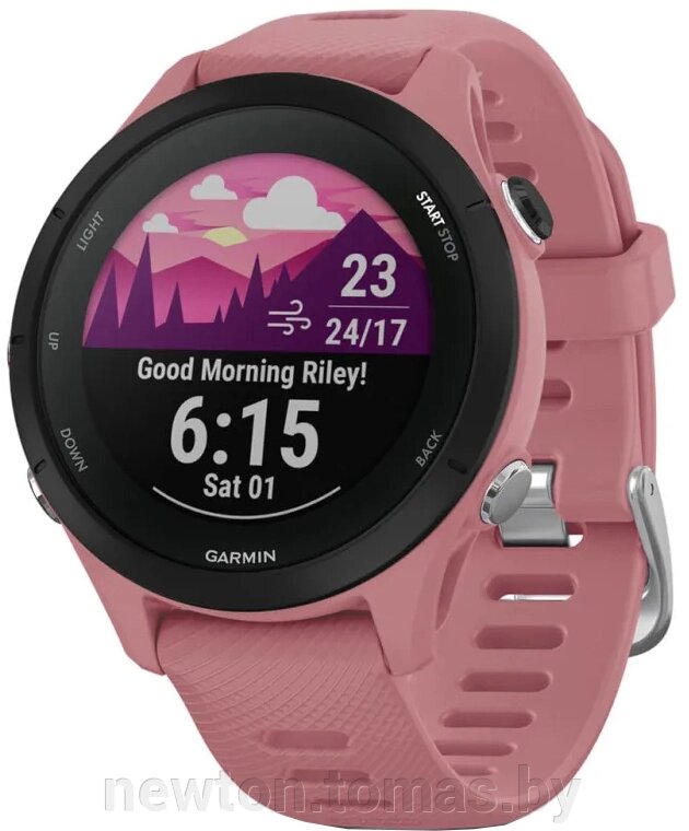 Умные часы Garmin Forerunner 255S 41 мм пыльная роза/черный от компании Интернет-магазин Newton - фото 1