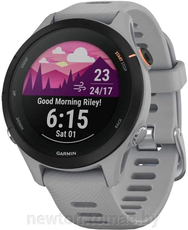 Умные часы Garmin Forerunner 255S 41 мм светло-серый/черный от компании Интернет-магазин Newton - фото 1