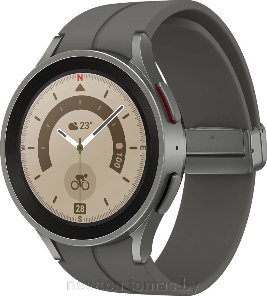 Умные часы Samsung Galaxy Watch 5 Pro 45 мм серый титан от компании Интернет-магазин Newton - фото 1