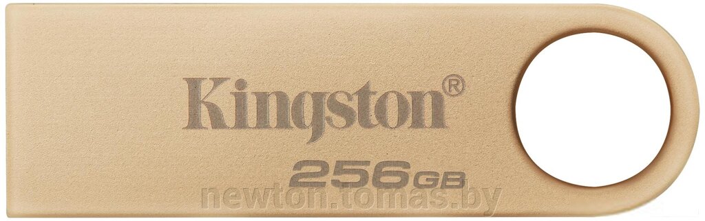 USB Flash Kingston DataTraveler SE9 G3 256B DTSE9G3/256GB от компании Интернет-магазин Newton - фото 1