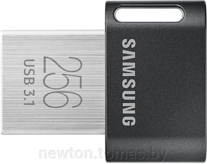 USB Flash Samsung FIT Plus 256GB черный от компании Интернет-магазин Newton - фото 1