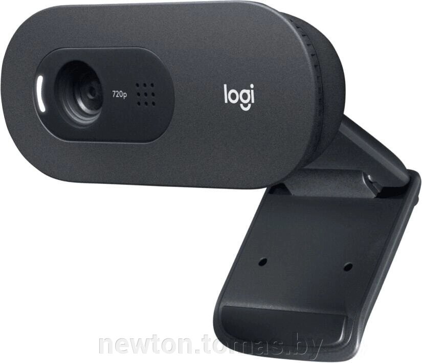 Веб-камера Logitech C505e от компании Интернет-магазин Newton - фото 1