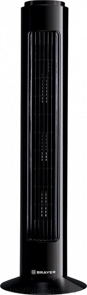Вентилятор Brayer BR4952BK от компании Интернет-магазин Newton - фото 1