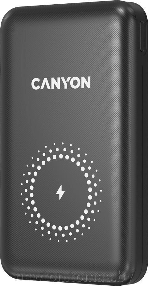 Внешний аккумулятор Canyon PB-1001 10000mAh черный от компании Интернет-магазин Newton - фото 1