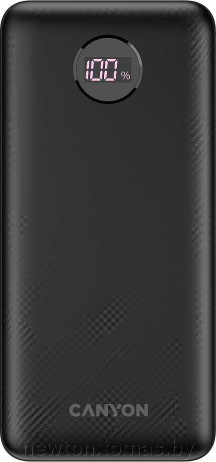 Внешний аккумулятор Canyon PB-2002 20000mAh черный от компании Интернет-магазин Newton - фото 1