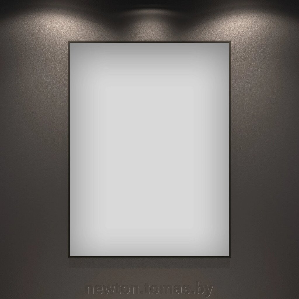 Wellsee Зеркало 7 Rays' Spectrum 172200600, 55 х 80 см от компании Интернет-магазин Newton - фото 1